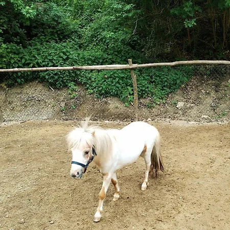 Spaleny Mlyn V Narodnim Parku Podyji 3* Znojmo