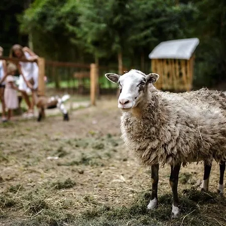 Spálený Mlýn V Národním Parku Podyjí 3* Znojmo